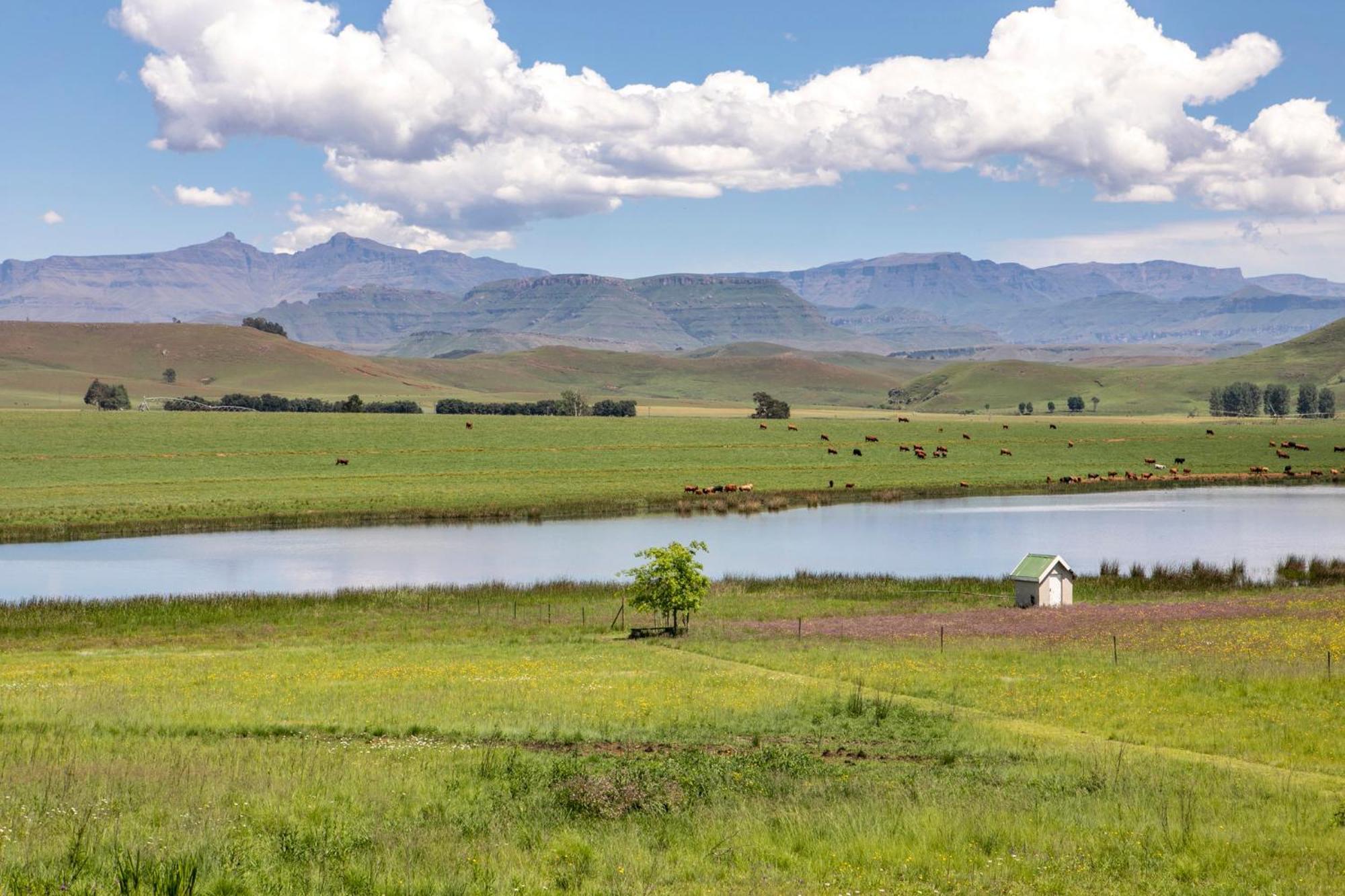 Khanyeni Himeville Exterior foto