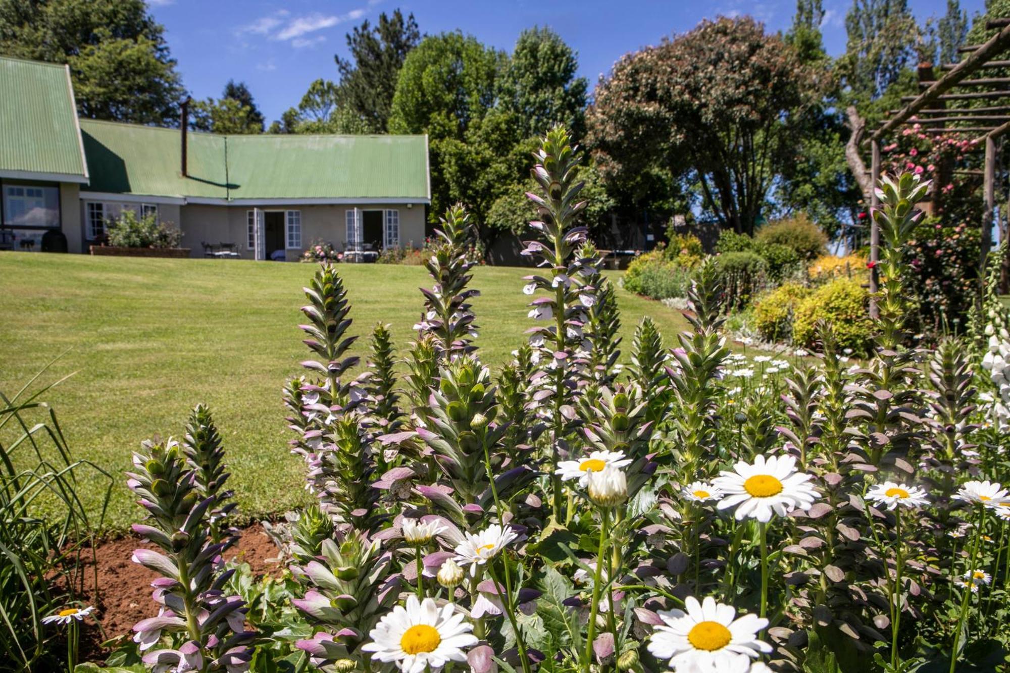 Khanyeni Himeville Exterior foto